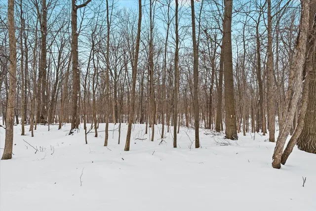 $649,000 | 6055 Shaftsburg Road, Williamston, MI 48895