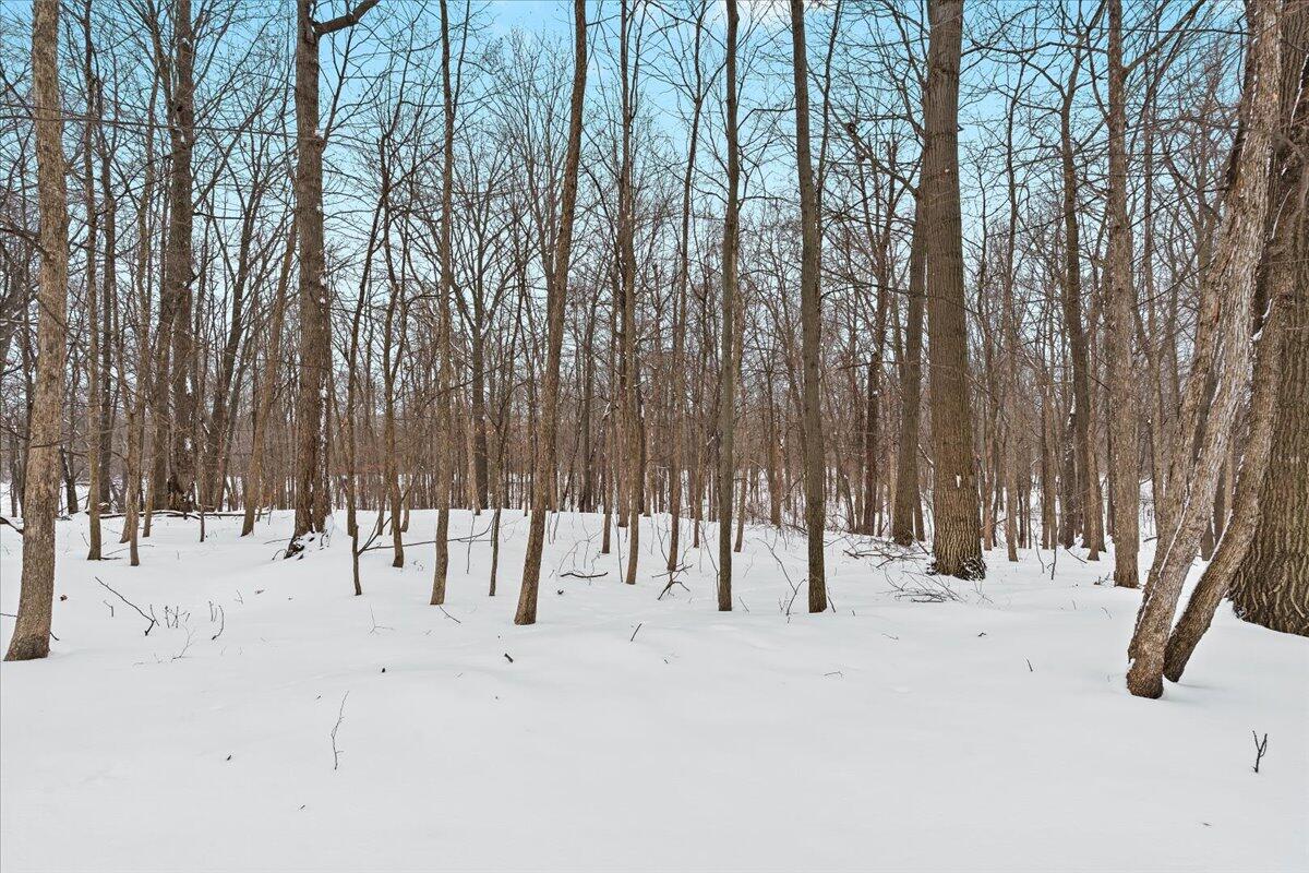 6055 Shaftsburg Road Williamston, MI 48895 - Photo 36 of 50 35-6055 Shaftsburg Rd