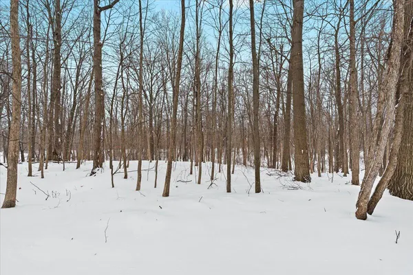 $529,000 | 6055 Shaftsburg Road, Williamston, MI 48895