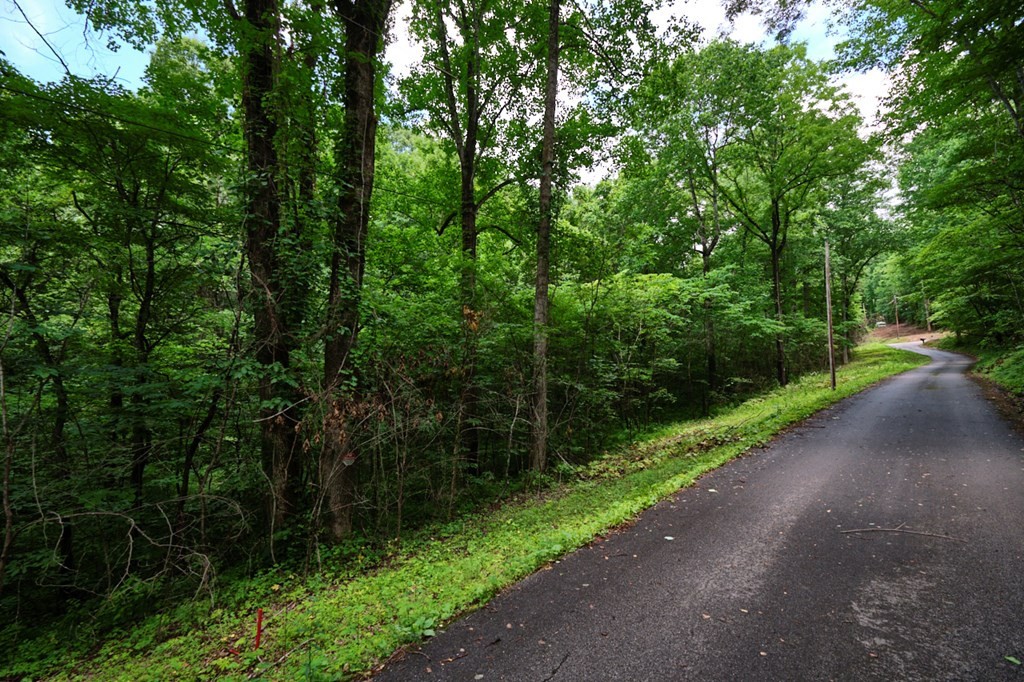 0 Blowing Cave Road Sevierville, TN 37876 - Photo 15 of 34 Gallery Image 15