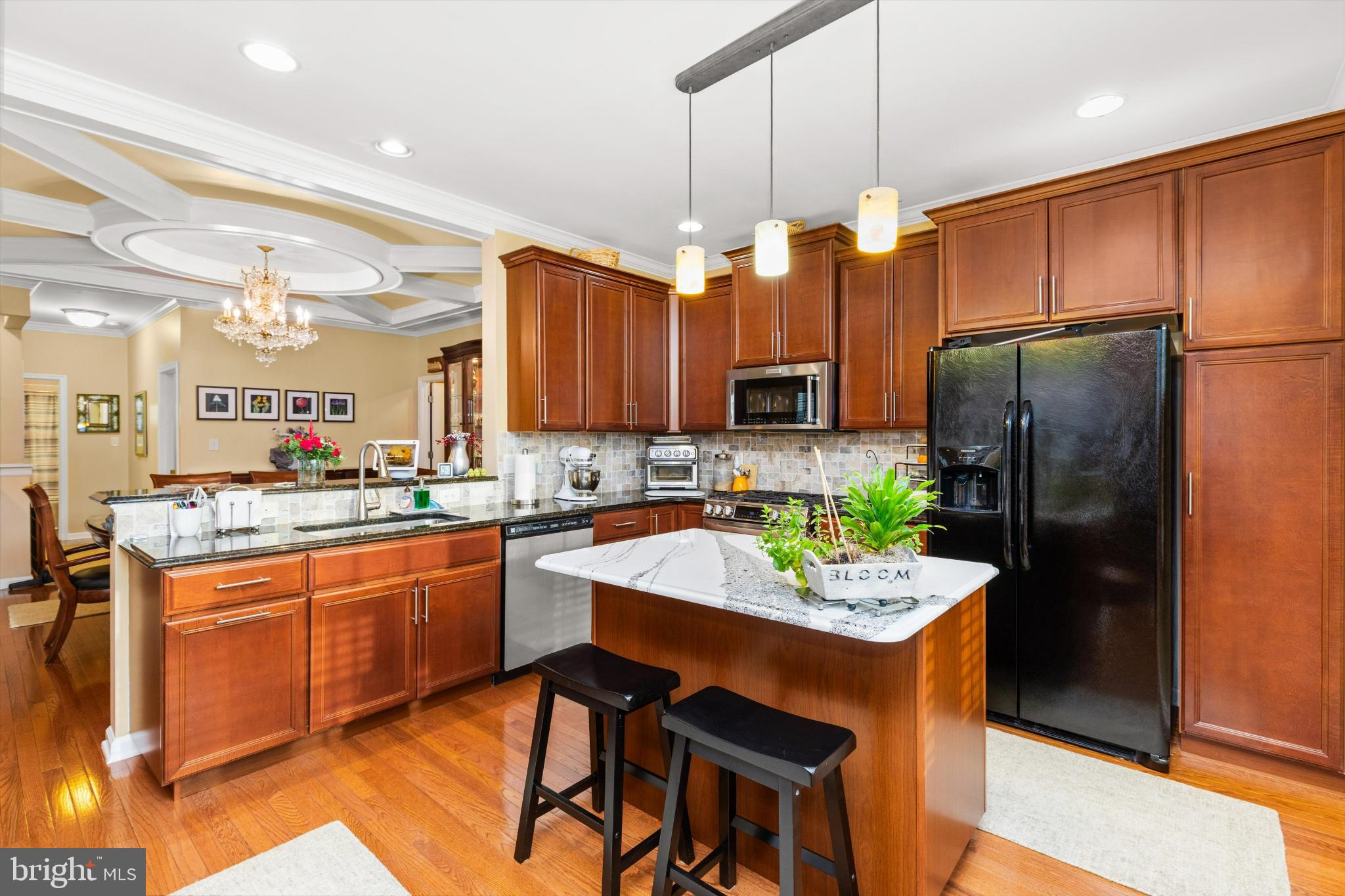 35224 Seaport Loop Lewes, DE 19958 - Photo 7 of 45 Modern kitchen with elegant finishes.