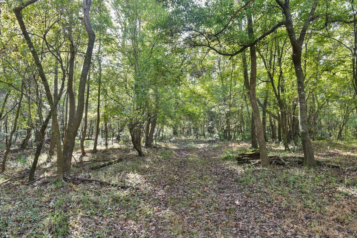 467 Weenee Road Jamestown, SC 29453 - Photo 23 of 49 467WeeNeeJamestownSC-7429