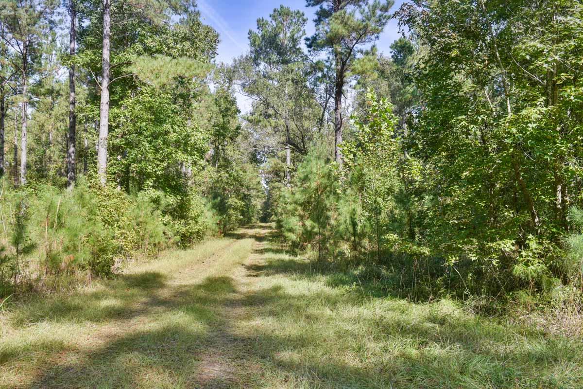 467 Weenee Road Jamestown, SC 29453 - Photo 29 of 49 467WeeNeeJamestownSC-7436