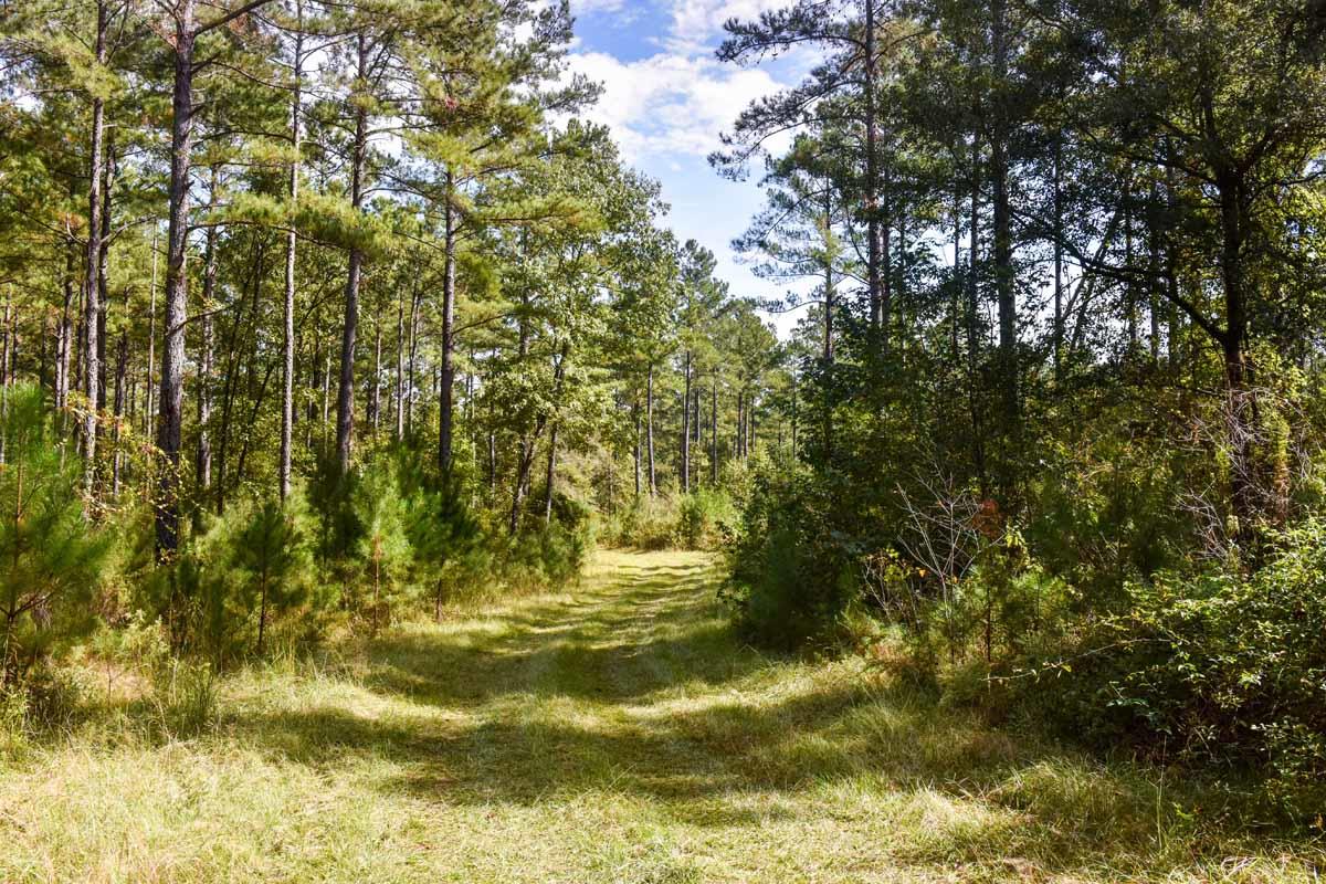 467 Weenee Road Jamestown, SC 29453 - Photo 38 of 49 467WeeNeeJamestownSC-7467