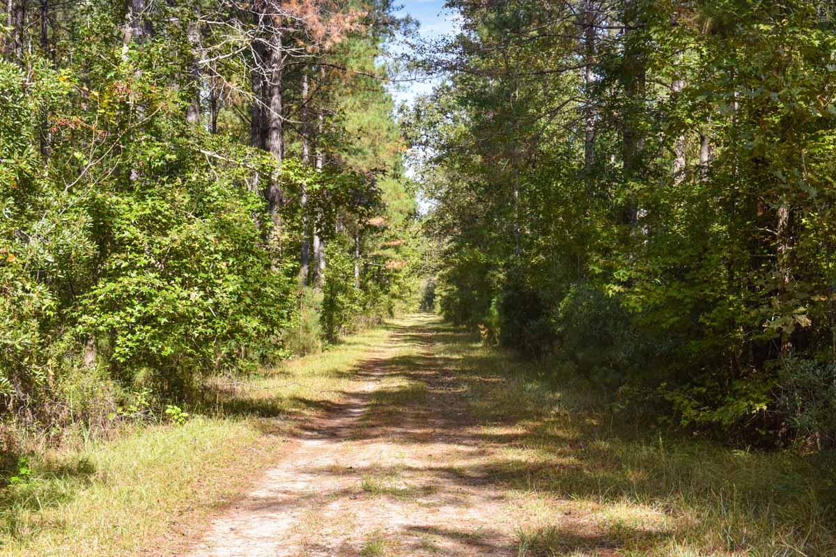 467 Weenee Road Jamestown, SC 29453 - Photo 40 of 49 467WeeNeeJamestownSC-7482