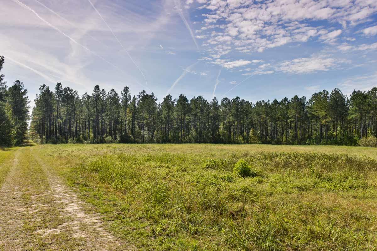 467 Weenee Road Jamestown, SC 29453 - Photo 41 of 49 467WeeNeeJamestownSC-7488