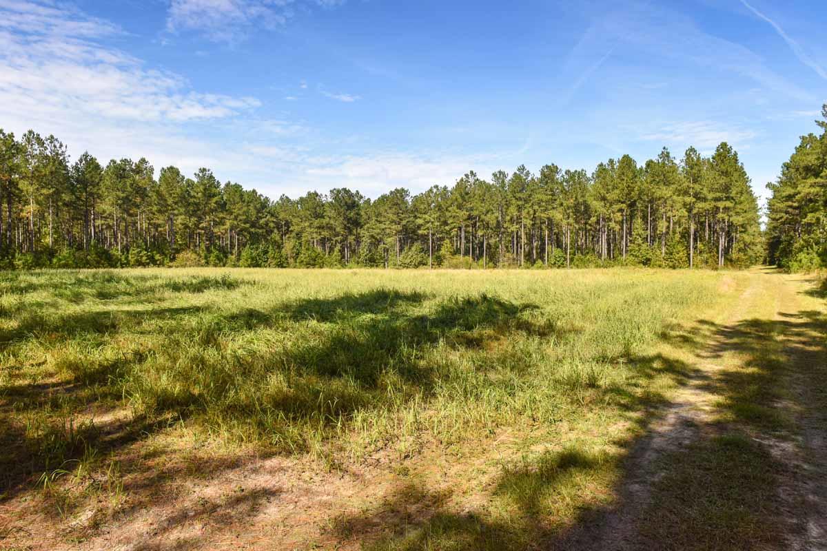 467 Weenee Road Jamestown, SC 29453 - Photo 42 of 49 467WeeNeeJamestownSC-7495