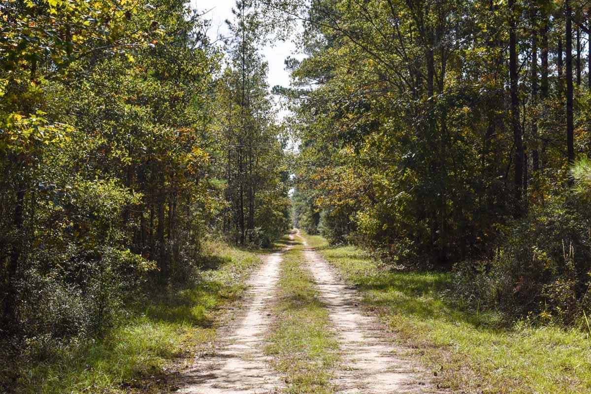 467 Weenee Road Jamestown, SC 29453 - Photo 48 of 49 467WeeNeeJamestownSC-7522
