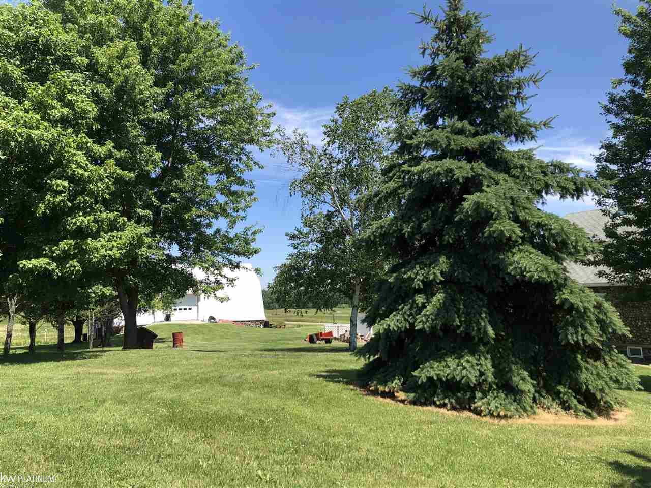 12546 Collins Road Yale, MI 48097 - Photo 67 of 71 50017132-91.JPG