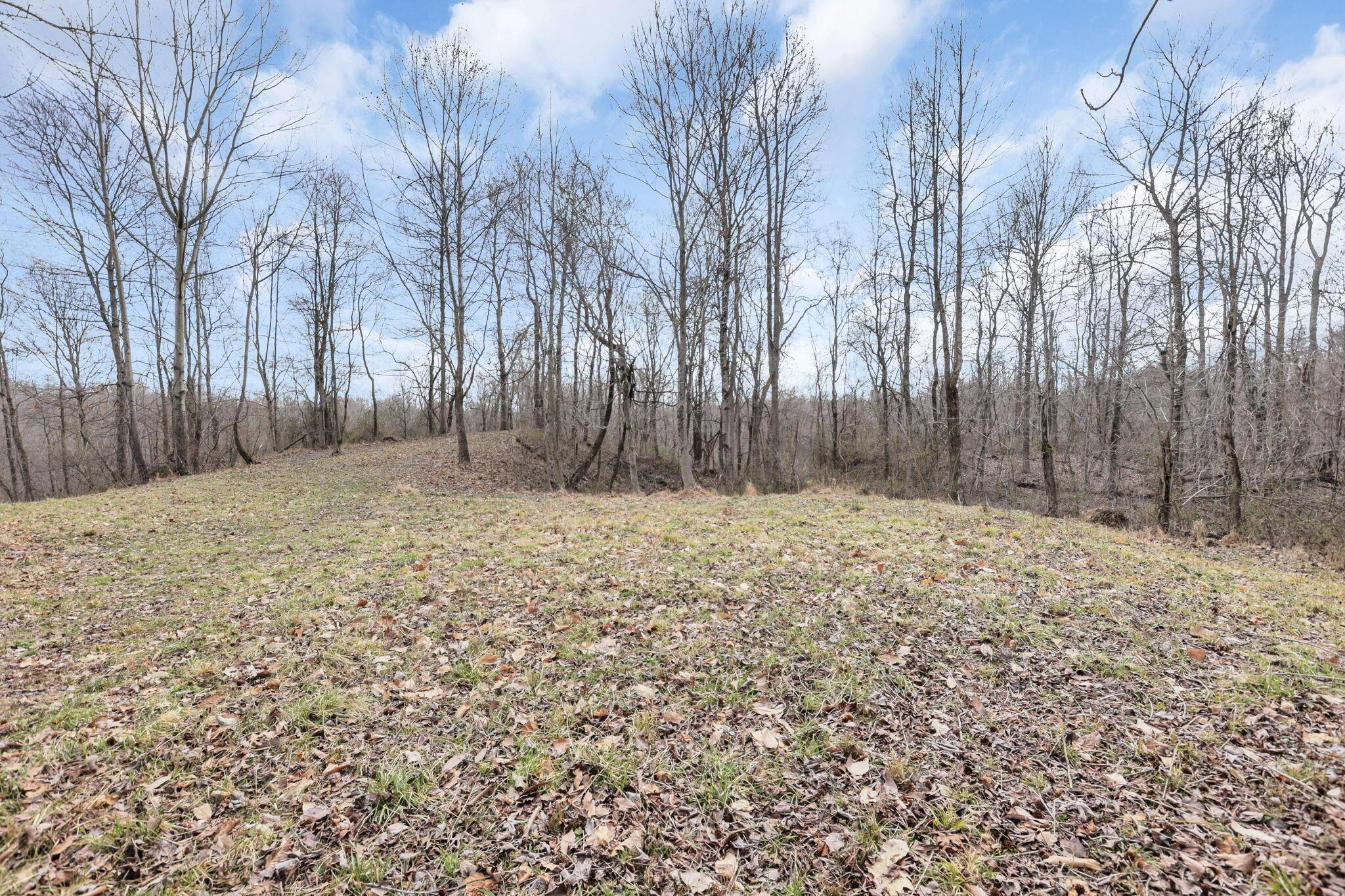 9814 Wesley Chapel Road Mount Perry, OH 43760 - Photo 41 of 56 Acreage