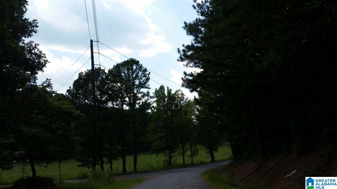 1885 Brooks Lake Road Lincoln, AL 35096 - Photo 14 of 30