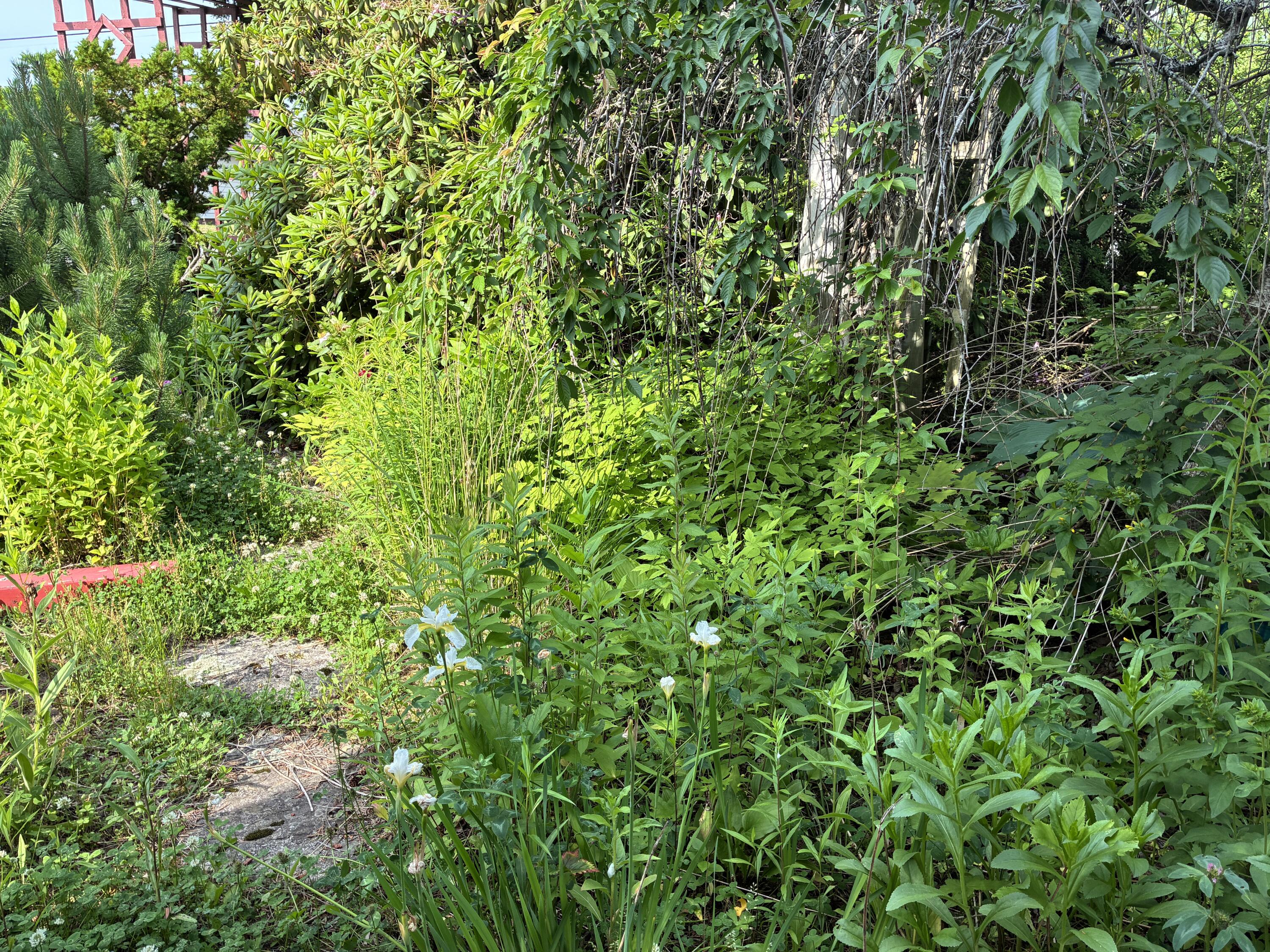 68 Village Road Steuben, ME 04680 - Photo 3 of 50 Walkway to front entrance.