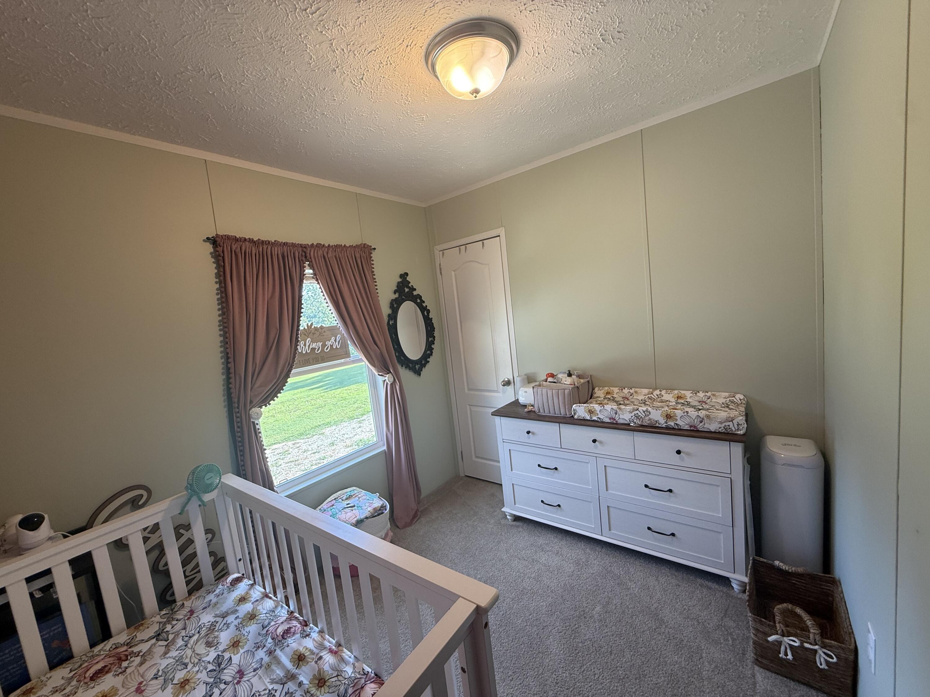 6731 Raccoon Road Pierce City, MO 65723 - Photo 75 of 99 IMG_9502