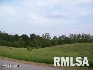 18658 Posen Road Nashville, IL 62263 - Photo 1 of 3 Gallery Image 1