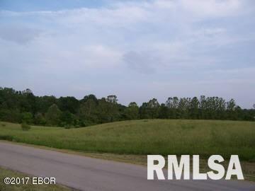 18658 Posen Road Nashville, IL 62263 - Photo 2 of 3 Gallery Image 2