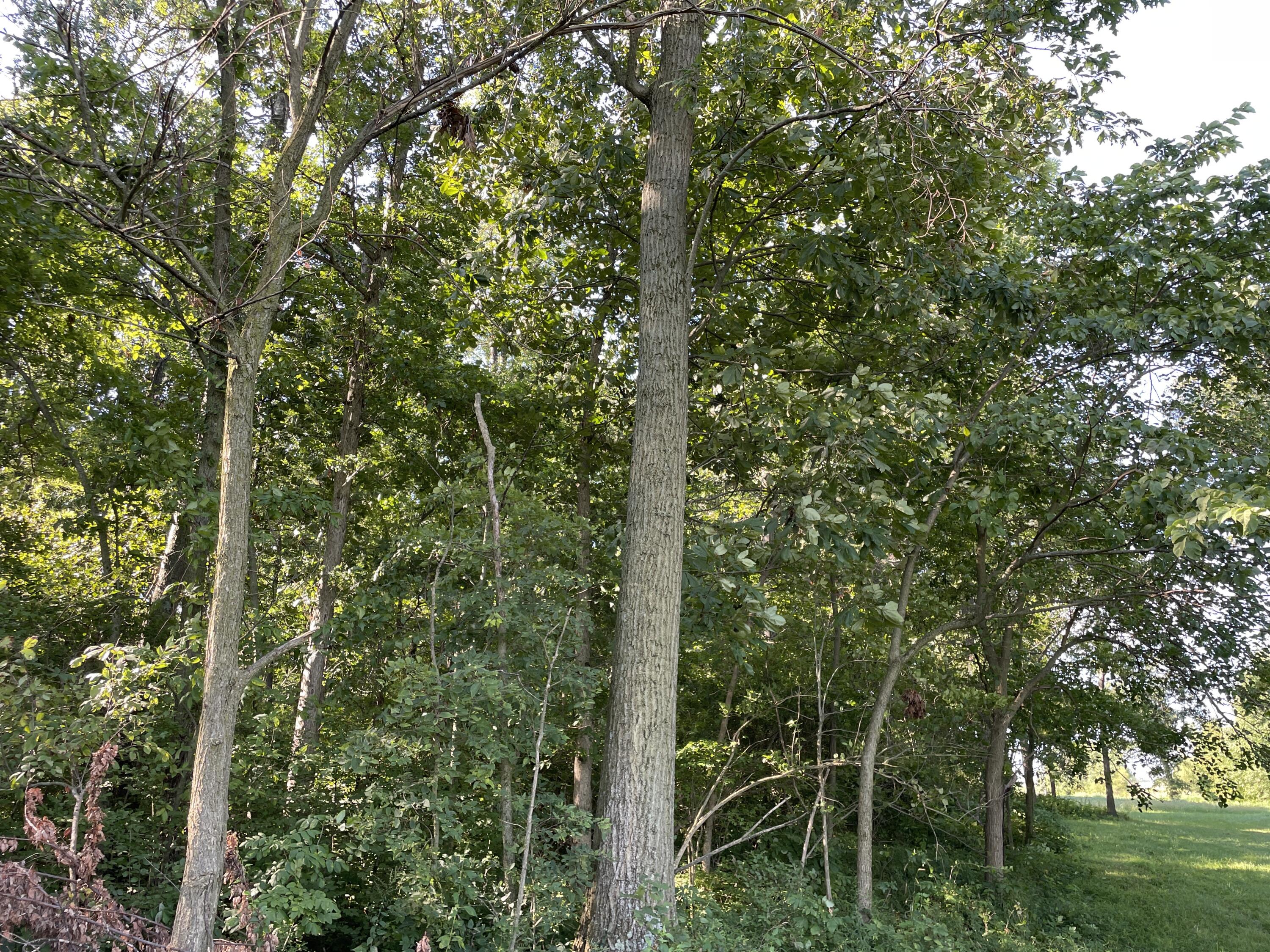 0 Perry Road Cable, OH 43009 - Photo 14 of 28
