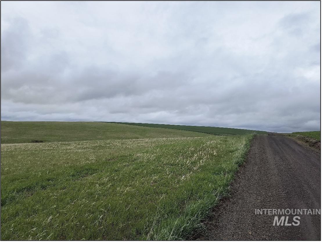 Tbd Tbd Meade Road Nezperce, ID 83543 - Photo 6 of 10