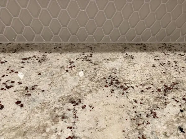 $2,500 | 2950 Firebush Way, Clermont, FL 34711