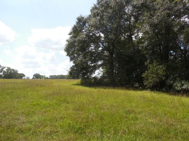 7.1-acre Cobb Road Daleville, AL 36322 - Photo 1 of 1