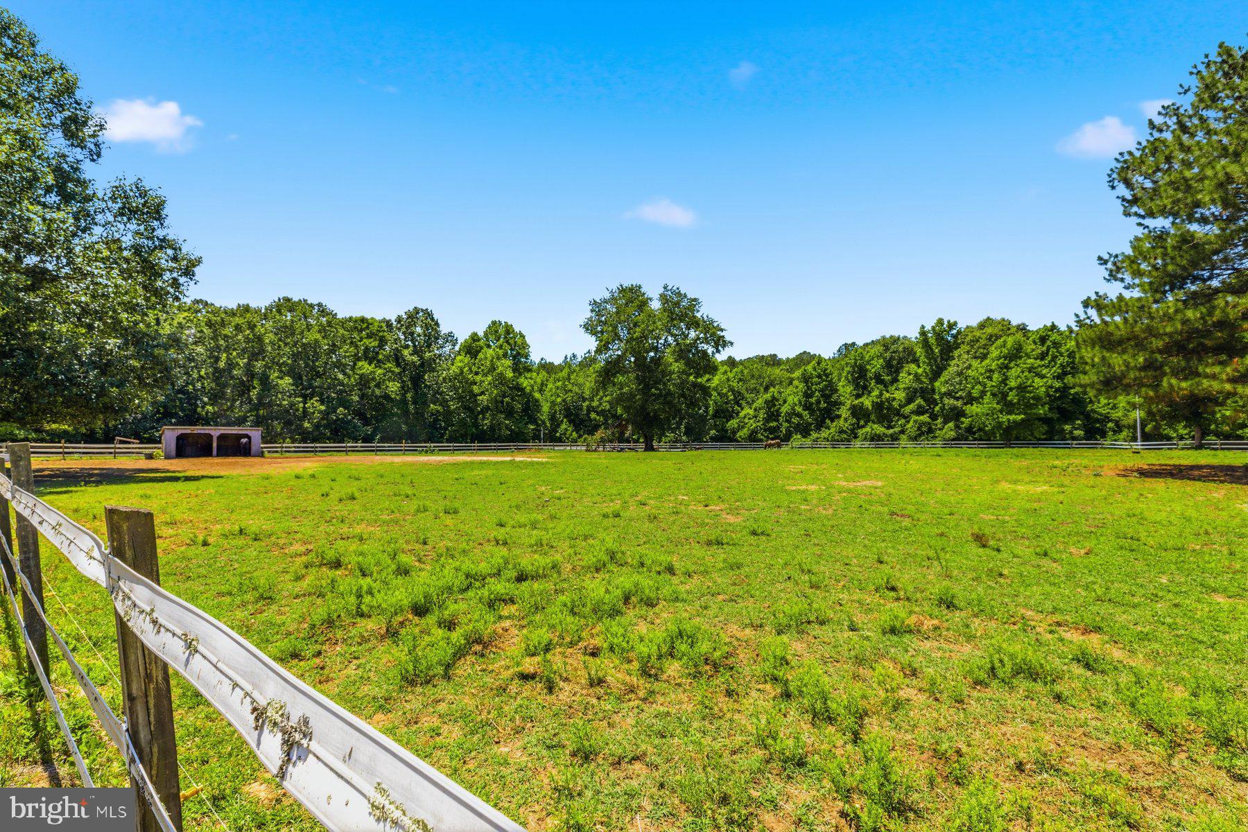 24249 McIntosh Road Hollywood, MD 20636 - Photo 9 of 66 Pasture