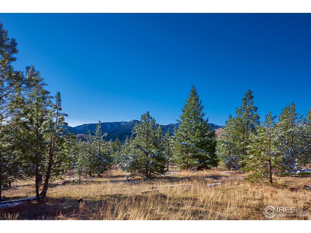 8569 Flagstaff Road Boulder, CO 80302 - Photo 7 of 40 Gallery Image 7