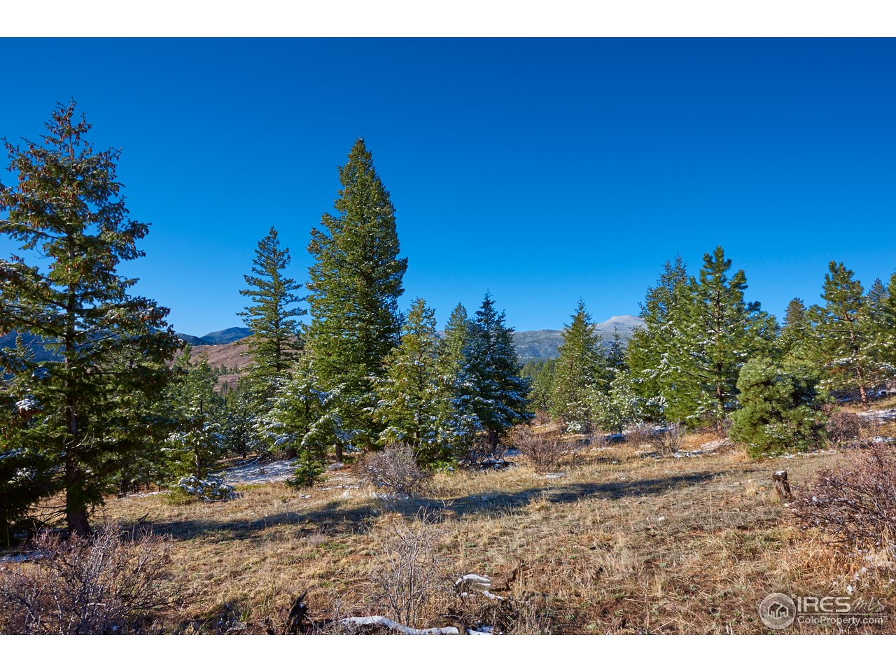 8569 Flagstaff Road Boulder, CO 80302 - Photo 9 of 40 Gallery Image 9