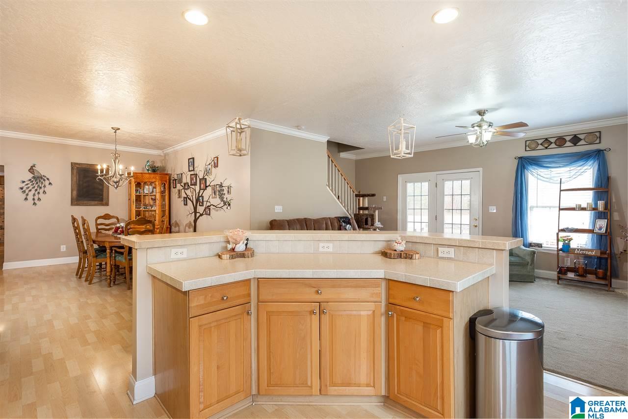 118 Racer Lane Oxford, AL 36203 - Photo 12 of 35