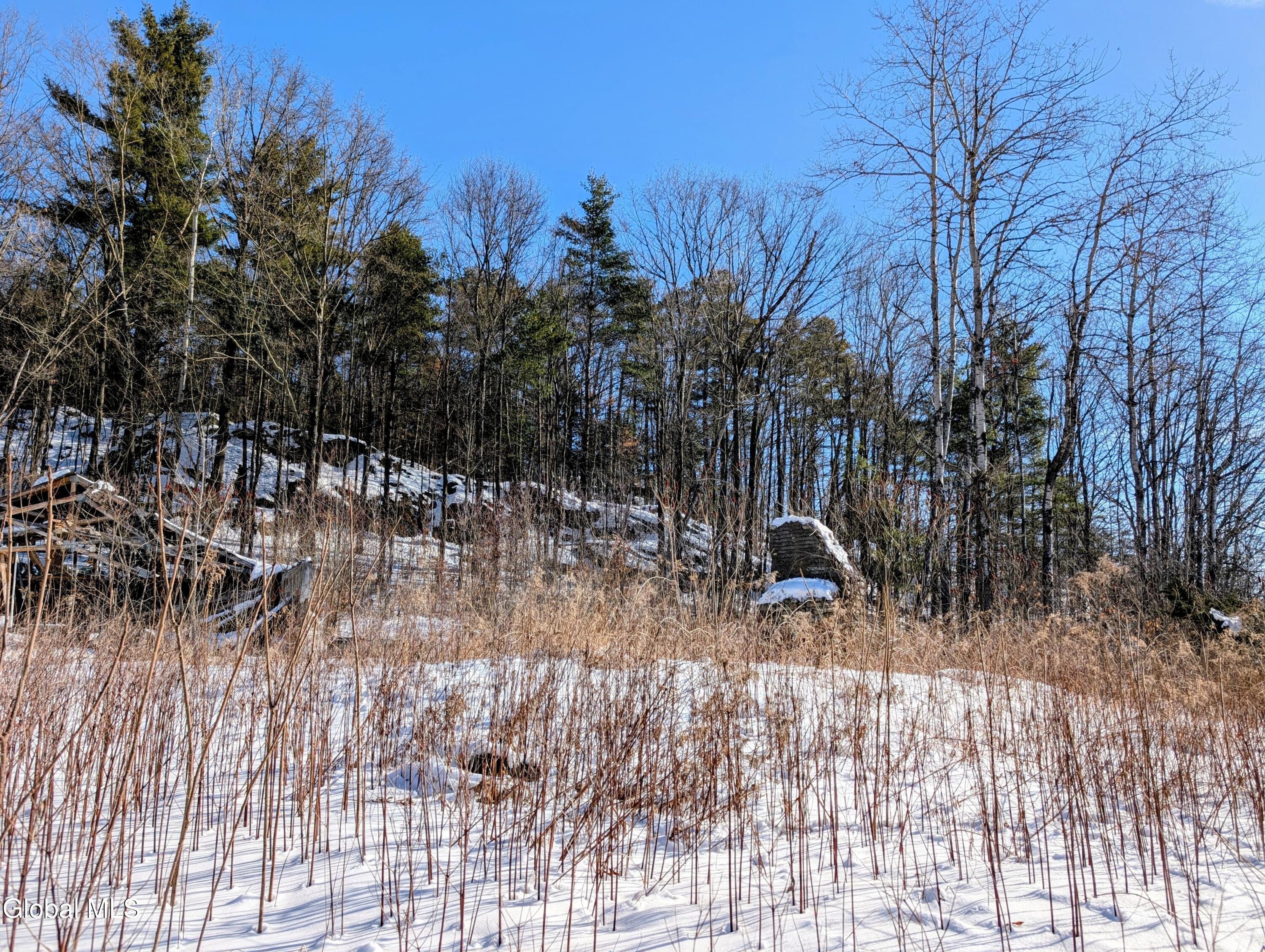 72 Warner Hill Road Ticonderoga, NY 12883 - Photo 4 of 10 1000005987