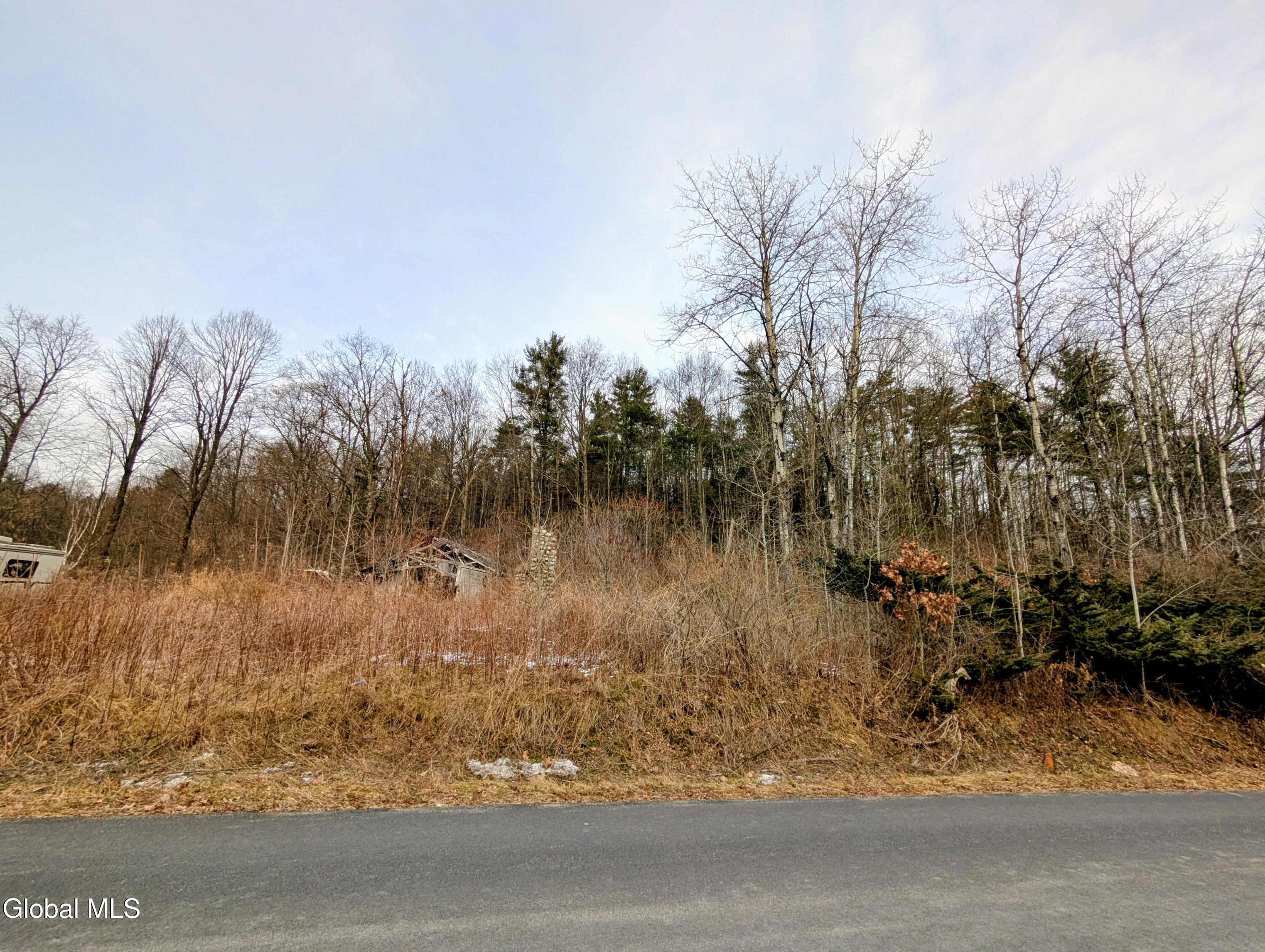 72 Warner Hill Road Ticonderoga, NY 12883 - Photo 5 of 6 PXL_20251222_195627206~2