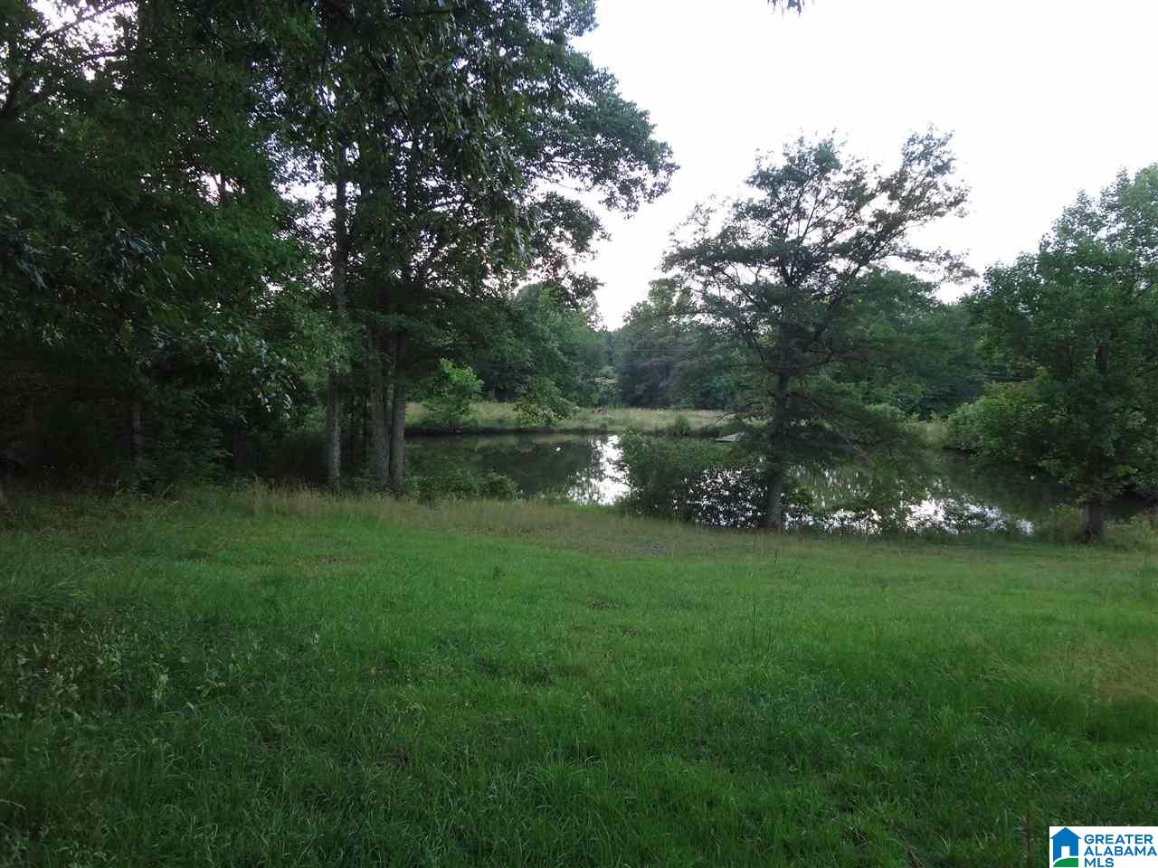 225 Pleasant Hills Road Odenville, AL 35120 - Photo 41 of 42
