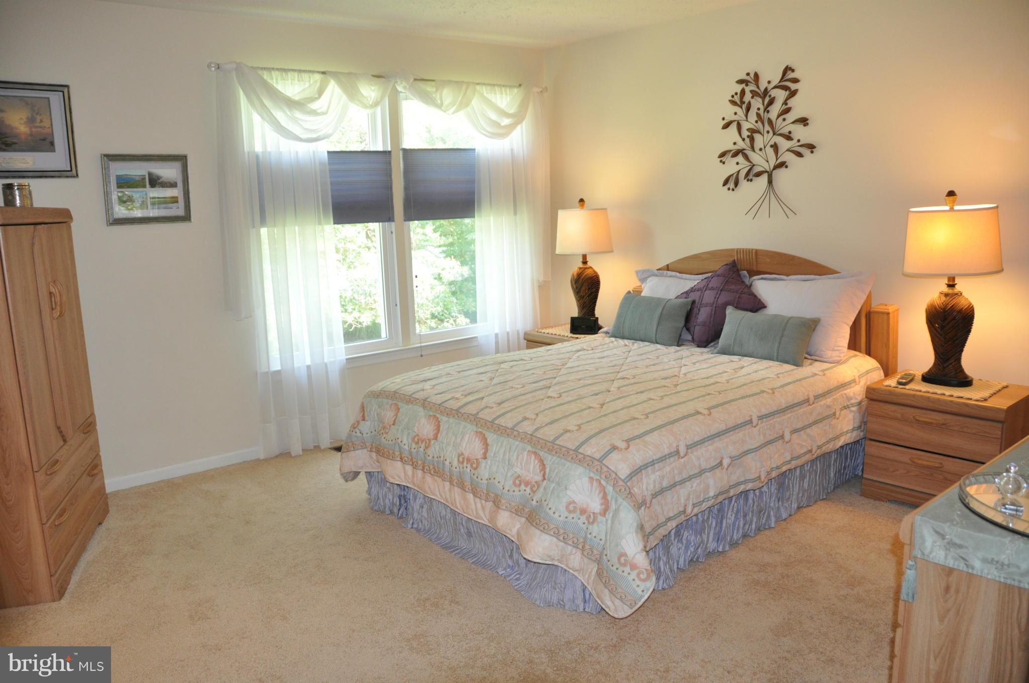 9549 Ridgeview Drive Columbia, MD 21046 - Photo 20 of 30 Bedroom (Master)