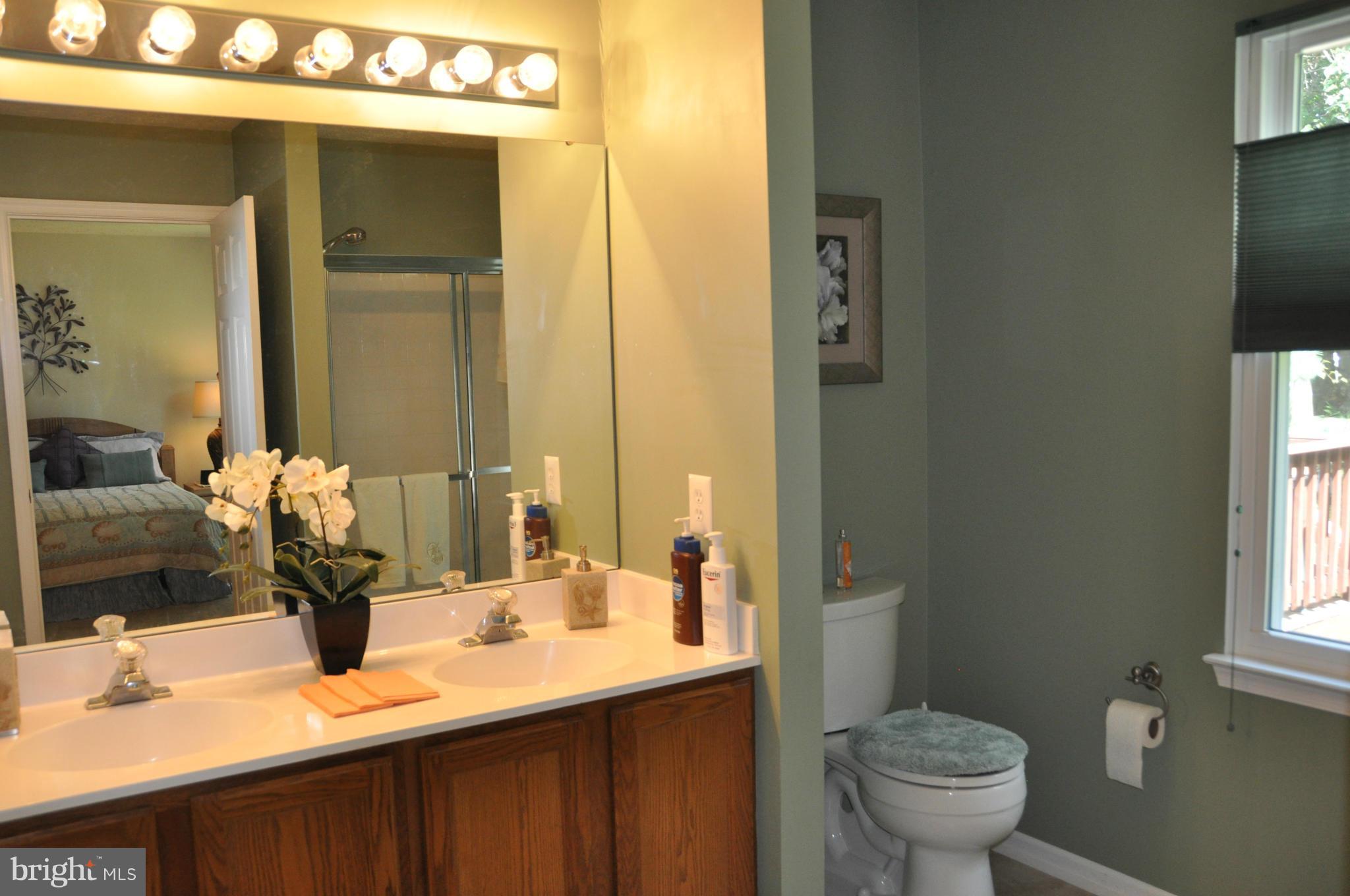 9549 Ridgeview Drive Columbia, MD 21046 - Photo 23 of 30 Bath (Master)