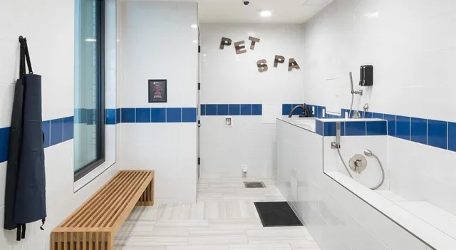 $3,850 | 5619 Belmont Avenue, Unit 240, Dallas, TX 75206