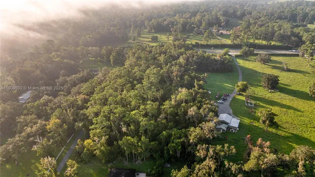 an aerial view of residential houses with outdoor space and trees