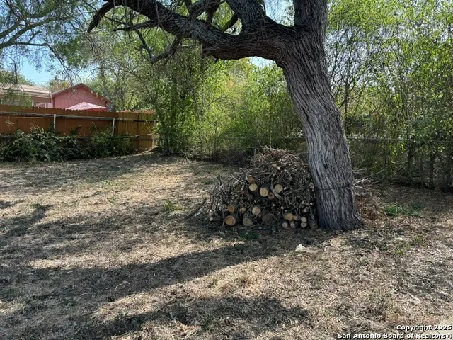 a view of a backyard with large trees