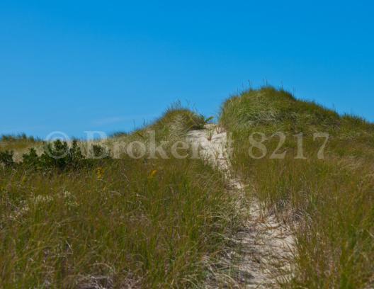0 Harwich Road Brewster, MA 02631 - Photo 4 of 9 16