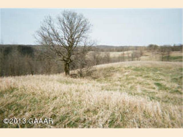 9745 Big Chip Road Northwest Garfield, MN 56332 - Photo 3 of 10 Gallery Image 3