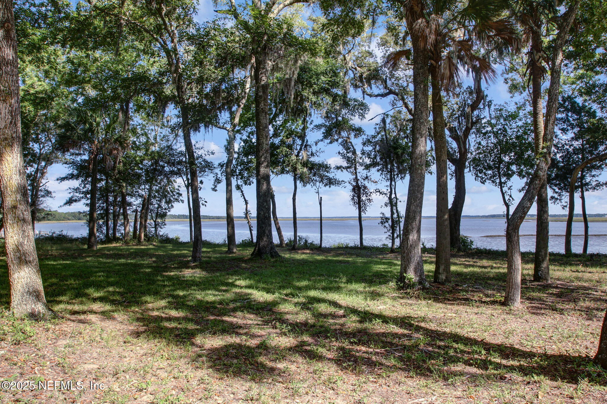 29155 Grandview Manor Yulee, FL 32097 - Photo 24 of 45 a view of a park with a tree