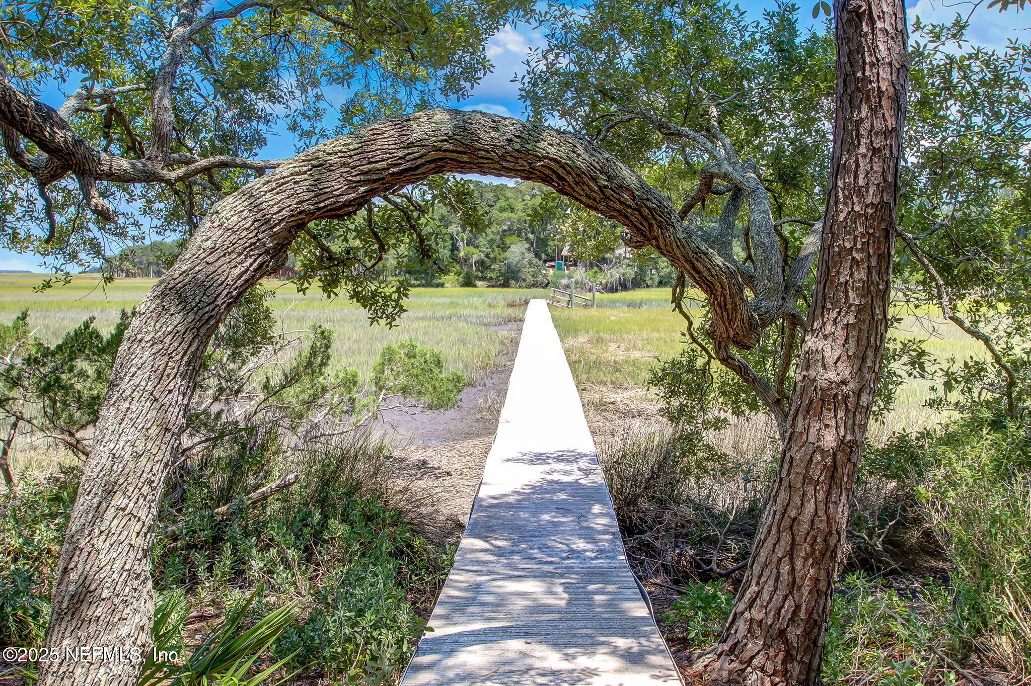 29155 Grandview Manor Yulee, FL 32097 - Photo 34 of 45 a view of a pathway both side of yard