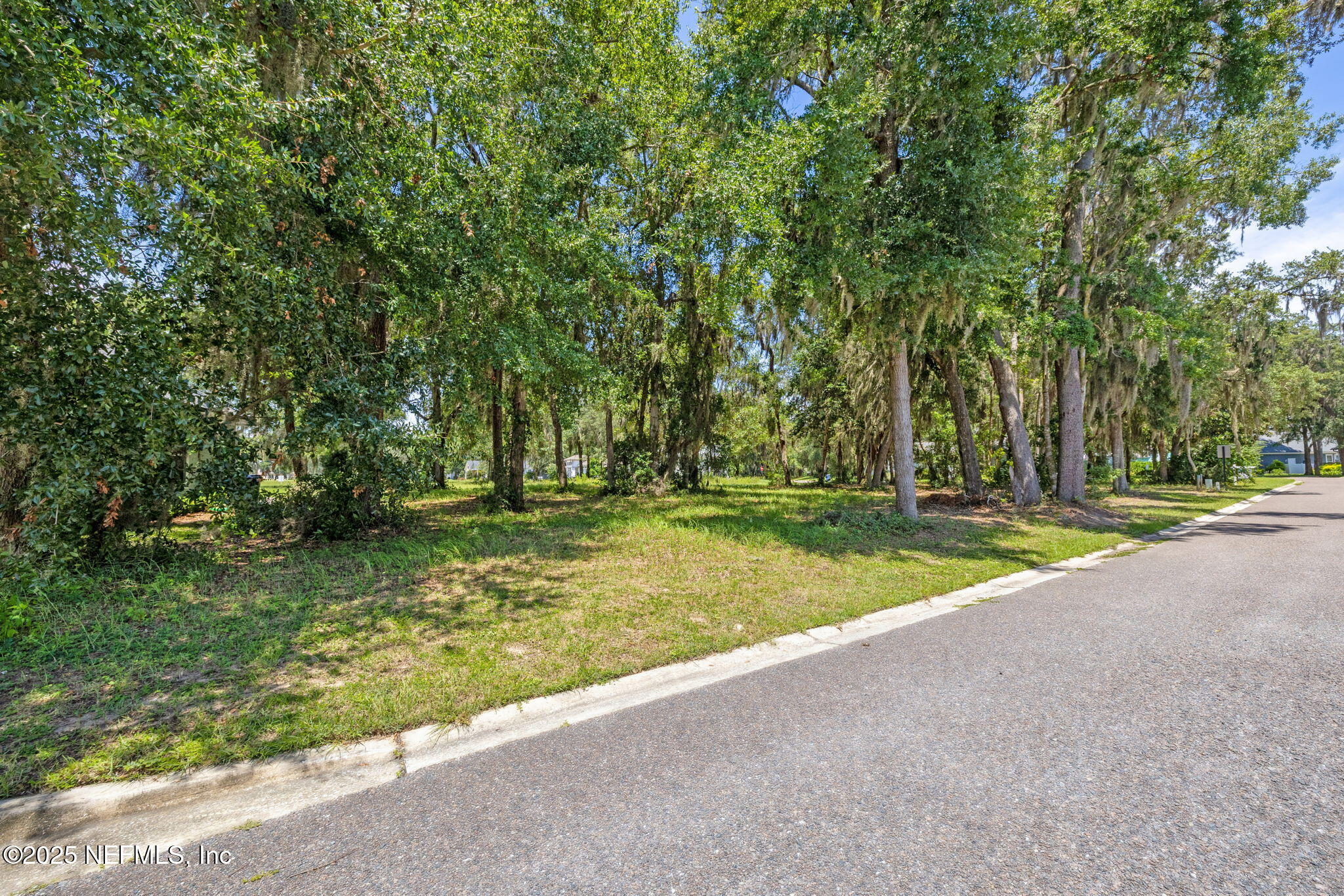 29155 Grandview Manor Yulee, FL 32097 - Photo 5 of 45 a view of a yard with large trees