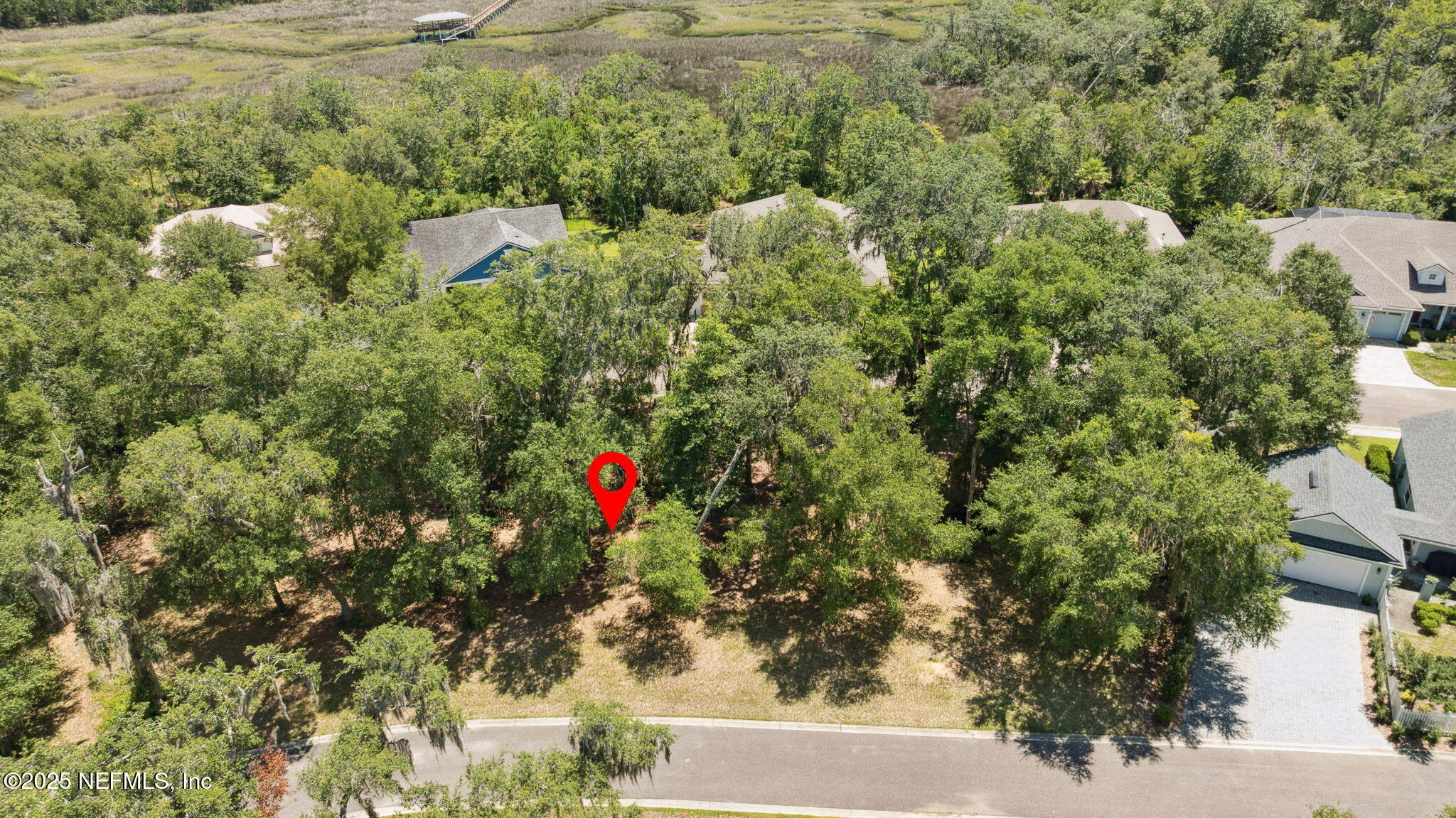 29155 Grandview Manor Yulee, FL 32097 - Photo 6 of 45 a view of a house with a yard and large tree