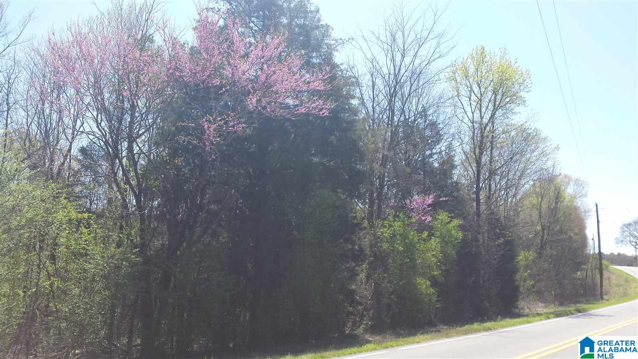 Double Bridge Road, Unit 16 Steele, AL 35987 - Photo 32 of 44