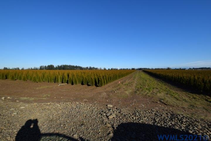 22506 Bents Road Northeast Aurora, OR 97002 - Photo 25 of 33