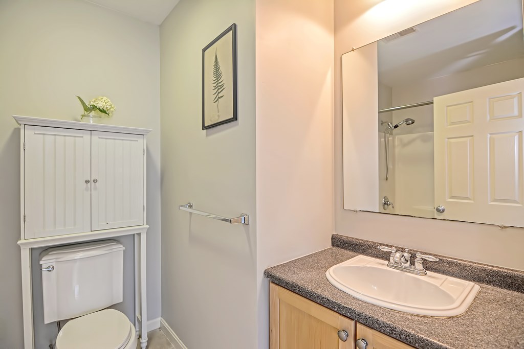 43 Turtle Brook Road, Unit 43 Canton, MA 02021 - Photo 14 of 28 a bathroom with a granite countertop sink toilet and shower