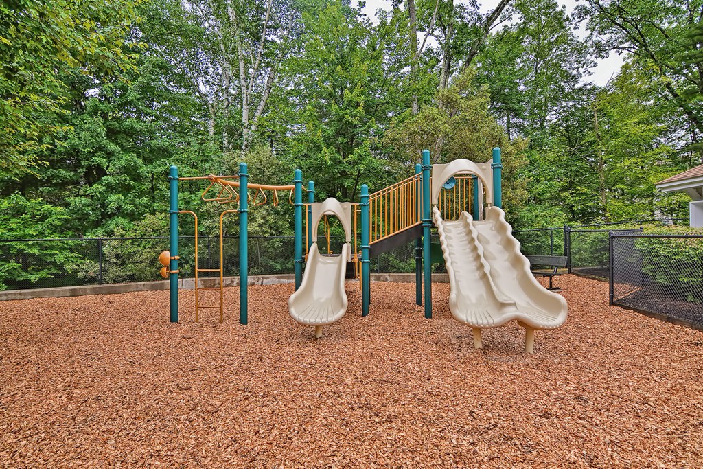 43 Turtle Brook Road, Unit 43 Canton, MA 02021 - Photo 27 of 28 a view of a park with slide