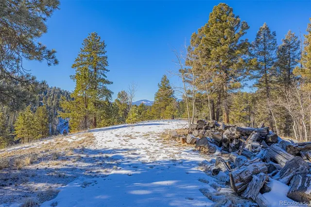$105,000 | 772 East Bison Creek Trail, Florissant, CO 80816