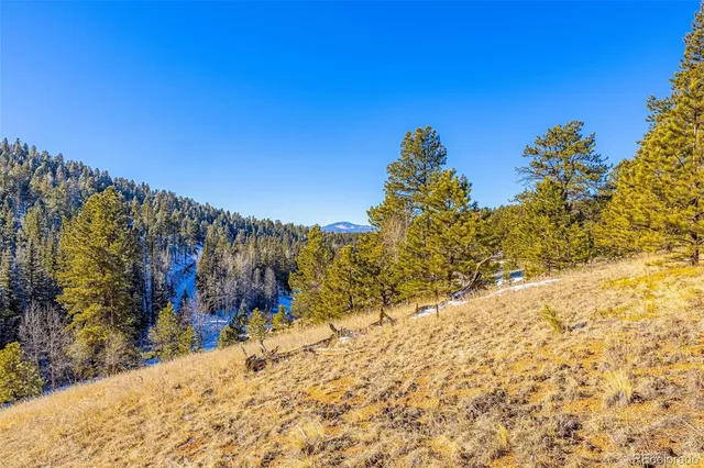 $105,000 | 772 East Bison Creek Trail, Florissant, CO 80816