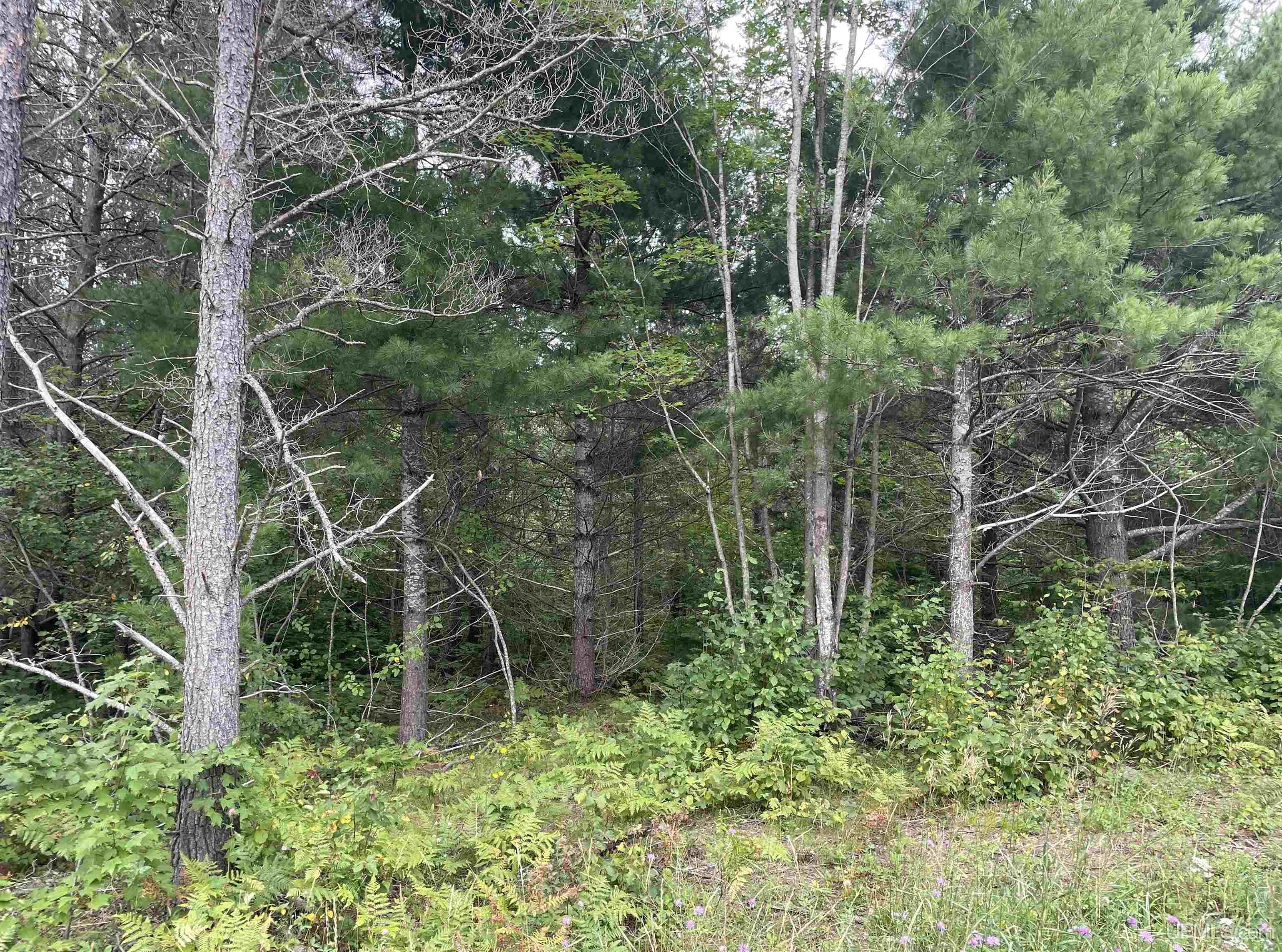 456 North Rd Little Lake Little Lake, MI 49833 - Photo 29 of 29