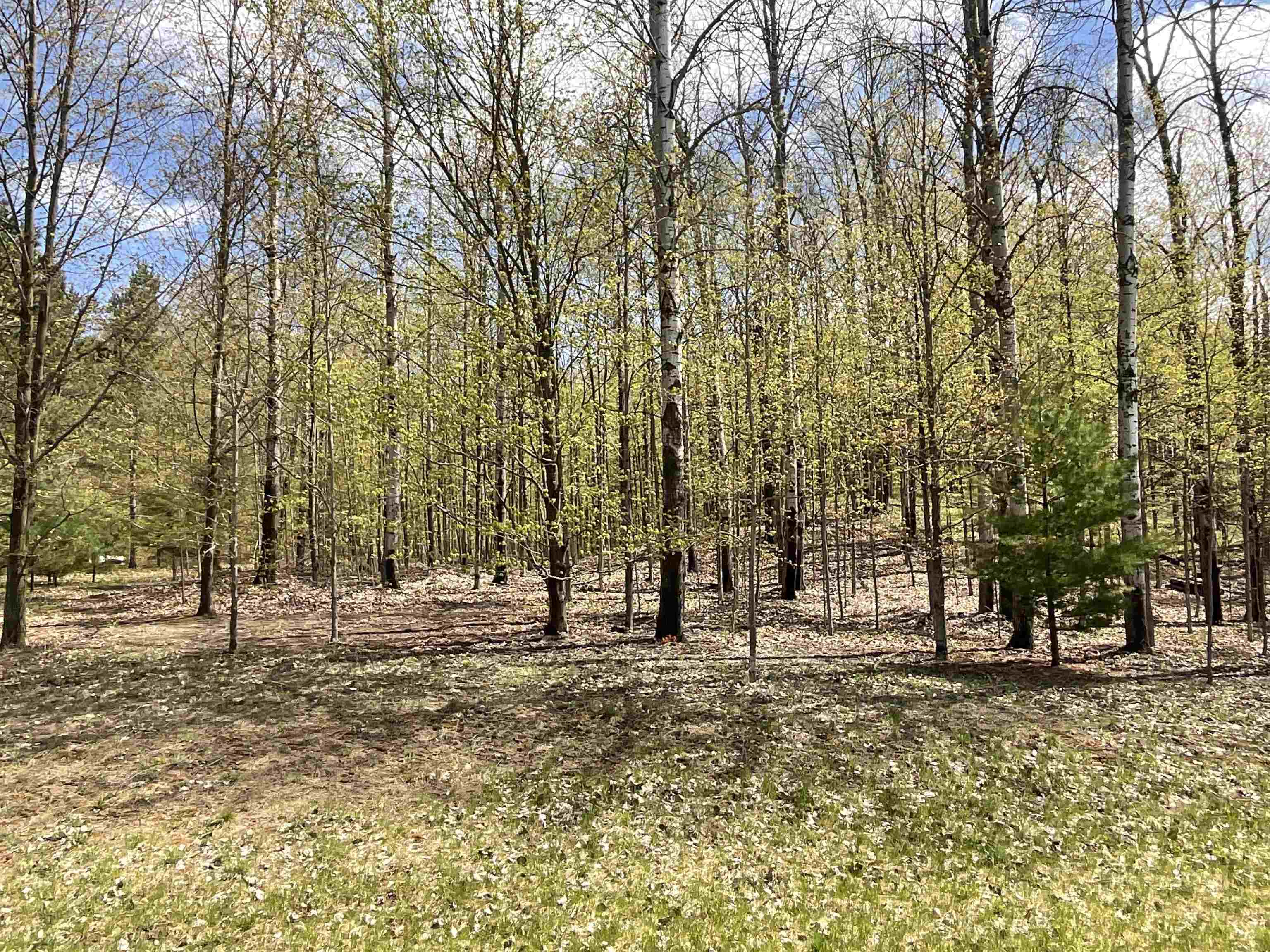 5533 East Lincoln Road Cedar, MI 49621 - Photo 15 of 17