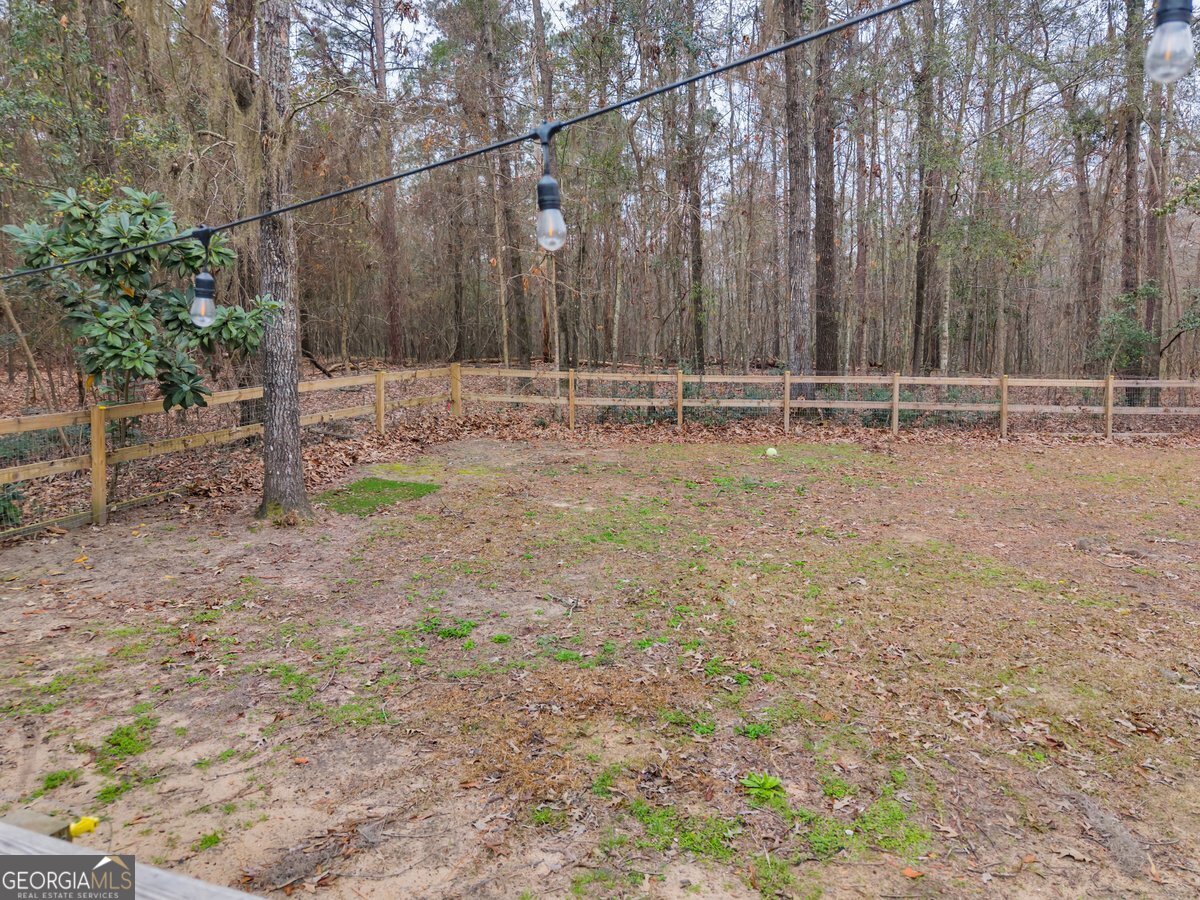 418 Flintside Drive Cobb, GA 31735 - Photo 29 of 45 a view of a backyard